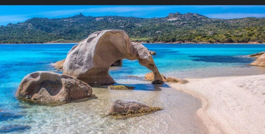 Taras Sottovento - Porto Cervo Abbiadori
